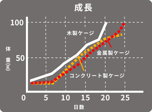 成長グラフ